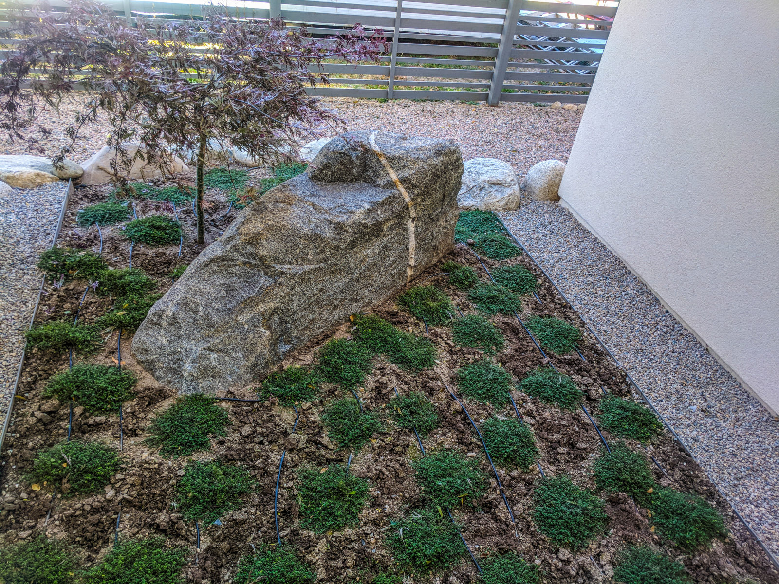 A Zen Garden design project at its completion