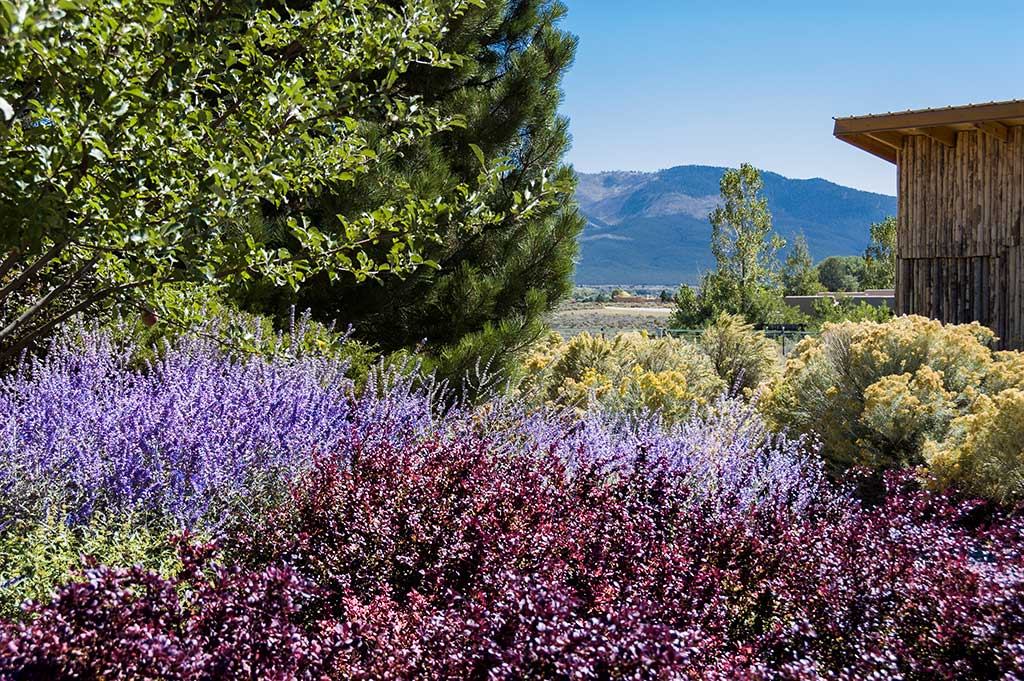 Reds and purples are the main colors of this creative landscape design