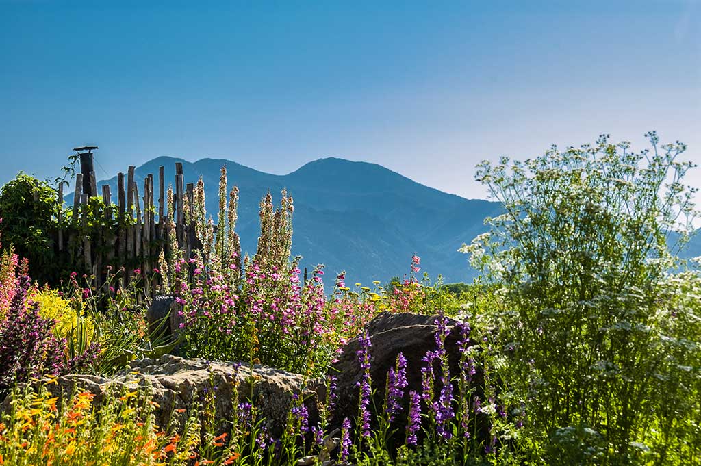 lovely flowers bloom in front of the distant mountains as part of this landscape design