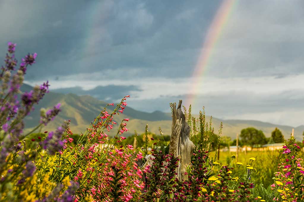 A double rainbow is an unexpected pleasure while viewing this garden's design
