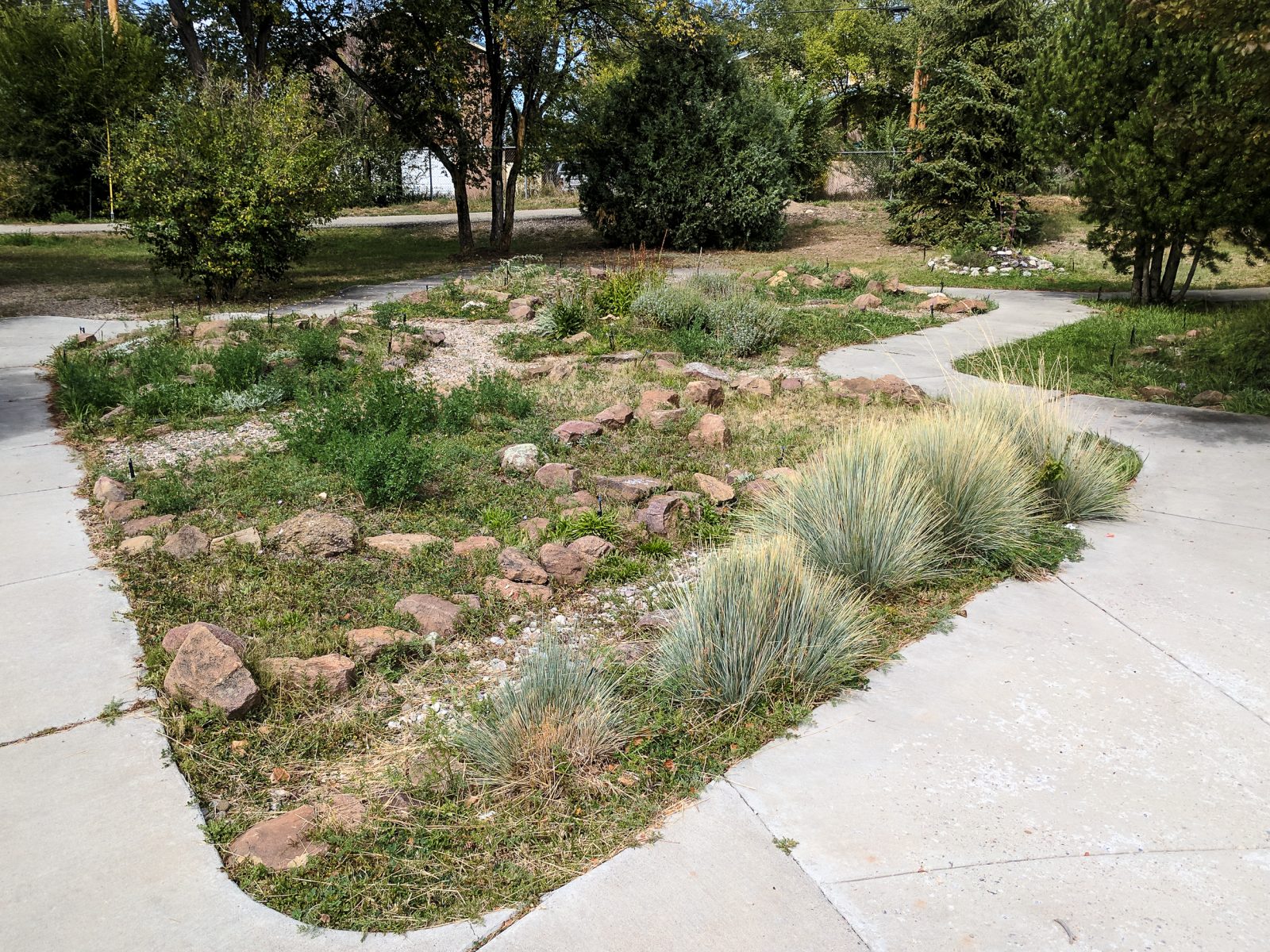 Before Dan's landscape design consultation, the courtyard was an uninspired mess of rocks and weeds