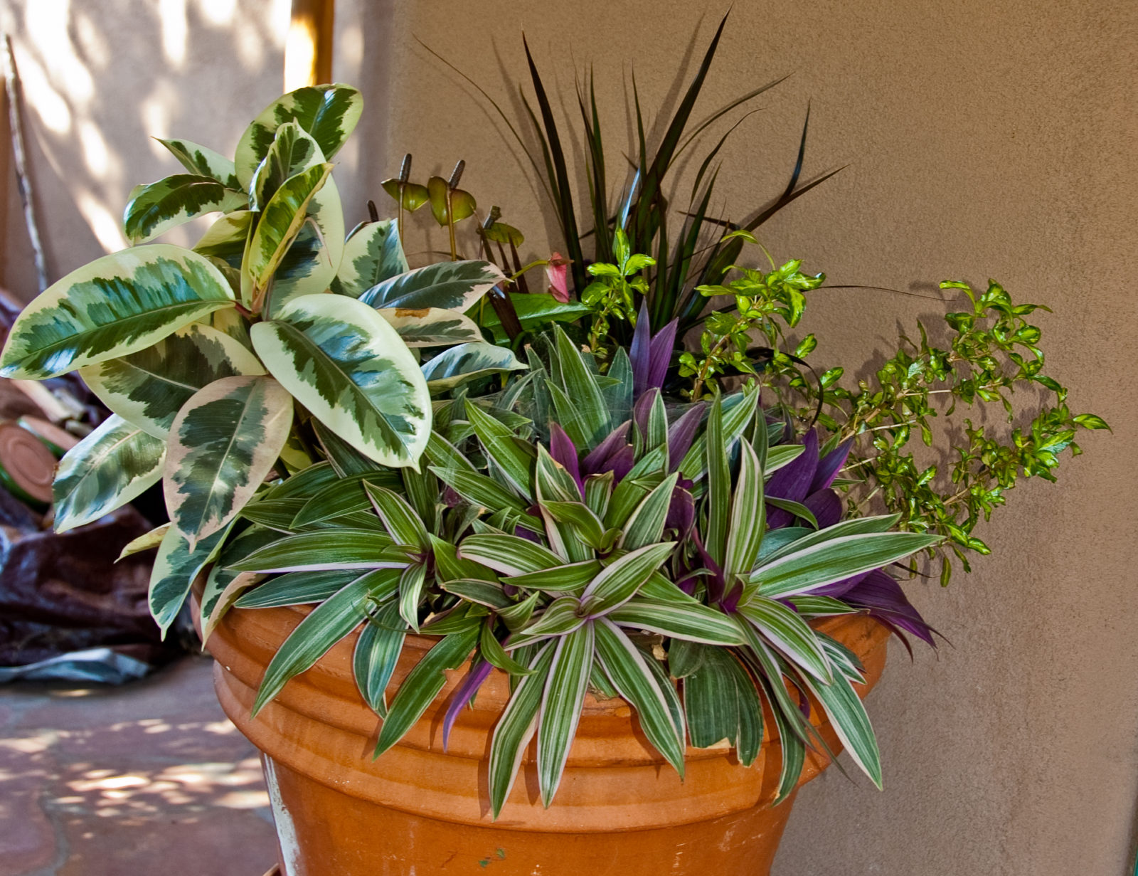 A designer patio pot with colorful foliage in it instead of flowers so it will thrive in the shade