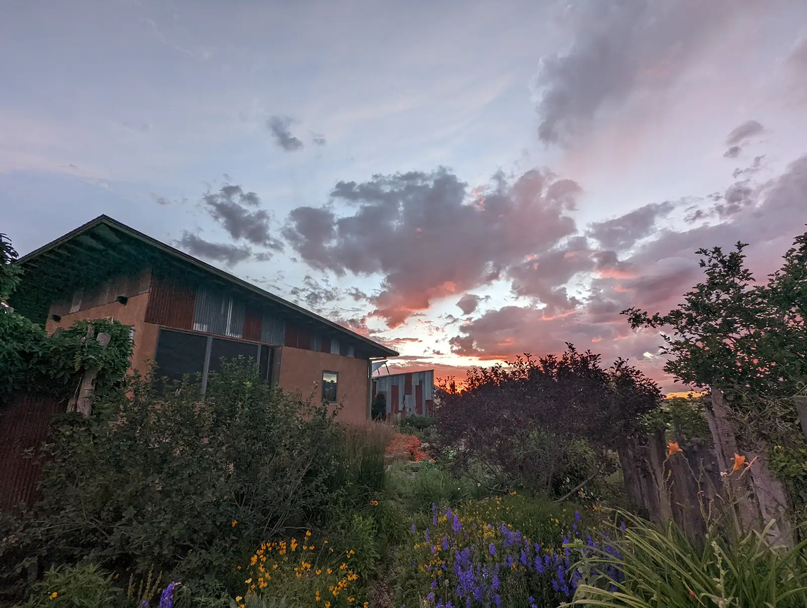 Glorious sunsets provide dramatic lighting in this garden view.