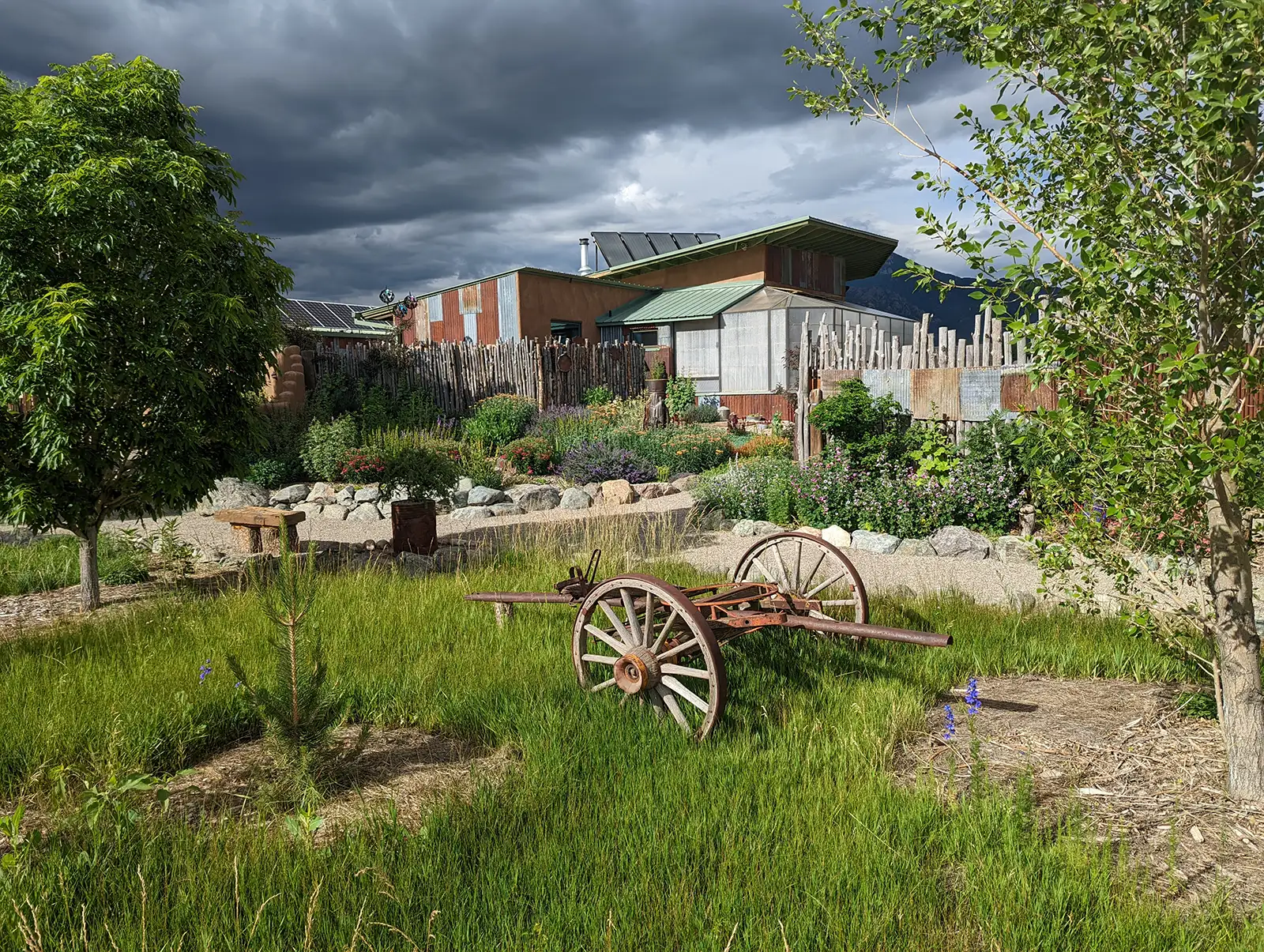 during the seasons that flowers aren't blooming, Dan's landscape design still have interesting things to look at, such as this old wagon, a birch fence and a house built from all re-used and re-cycled materials.